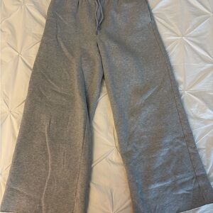 ARITZIA Gray Sweatpants